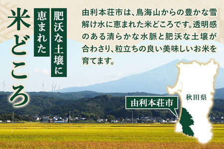 《新米予約》《定期便6ヶ月》令和8年産【白米】特別栽培米 ひとめぼれ 10kg（5kg×2袋）秋田県産 [ひとめぼれ 米 お米 白米 精米 特別栽培米 ブランド米 食卓 秋田県産 秋田県 由利本荘市]