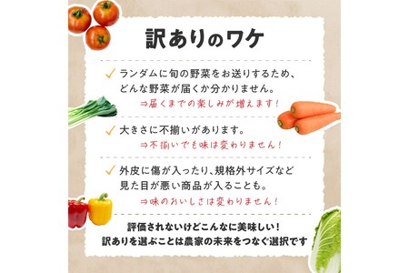 直売所直送 【訳あり】「京都・京丹後産 季節の野菜」お任せ詰め合わせBOX（3品）＋コシヒカリ精米1kg 定期便3回