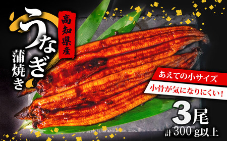 高知県産うなぎ蒲焼き 100g～120g×3尾 セット 蒲焼きのタレ 付き 高知県 須崎市 ( うなぎ 蒲焼き スタミナ 土用の丑の日 小分け )