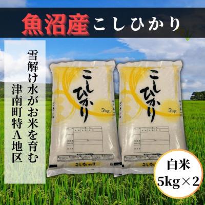 ふるさと納税 津南町 【先行予約】【令和8年産】 魚沼産コシヒカリ 白米10kg 魚沼地域津南町の美味しいお米