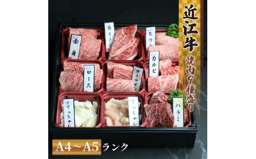 【通常発送】 近江牛 焼肉 9種 盛り合わせ 360g 冷凍 A4 A5  ( 近江牛 カルビ ロース ハラミ こてっちゃん てっちゃん サーロイン 希少部位2種 赤身 和牛 黒毛和牛  ブランド和牛 近江牛 牛肉 三大和牛 近江牛  近江牛 切り落し 贈り物 ギフト 近江牛 国産 近江牛 滋賀県 竜王町近江牛 岡喜 霜降り 神戸牛 松阪牛 に並ぶ 日本三大和牛 ふるさと納税 父の日 母の日 )