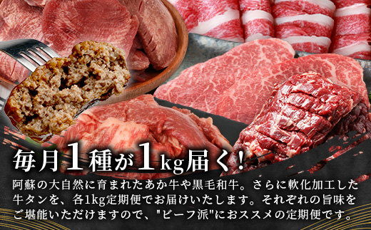 【定期便6回】 1kg×6回！ くまもと ビーフ 満喫 お楽しみ定期便【合計6.2kg】 熊本 あか牛 / 牛タン / 黒毛和牛 モモステーキ /あか牛 スジ / ハラミ / 黒毛和牛 ハンバーグ  