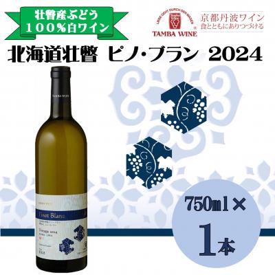 ふるさと納税 壮瞥町 北海道壮瞥産ピノ・ブラン2024(辛口白ワイン) 750ml SBTA084