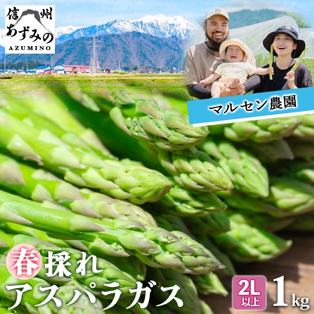 
            グリーンアスパラガス １kg　【２Lサイズ】　☆朝採れ直送☆　〈期間限定!〉　
          