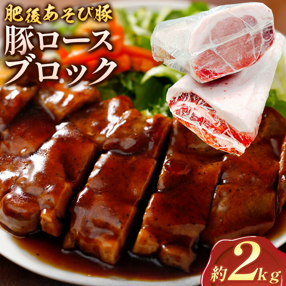 【ふるさと納税】肥後あそび豚 ロースブロック 1kg × 2パック 合計 2kg 《30日以内に出荷予定(土日祝除く)》熊本県 菊池市 ぶた ブタ 豚肉 肉 ブランド豚 ロース ブロック 国産 九州産 熊本県産 菊池市産 冷凍 送料無料