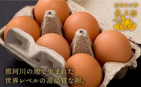 【TVで紹介！】【全6回定期便】鮮度ＡＡ級の世界最高ランク！金太郎卵 平飼い 卵 たまご 30個（6個×5パック）＜有限会社 フジノ香花園＞那珂川市 卵 卵定期便 定期便 卵  たまご 平飼い 定期便