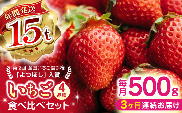 【先行予約】【全3回定期便】【2025年12月より順次発送】 いちご 食べ比べセット 総計1.5kg ( 250g × 2P × 3回 ) 農園直送 産地直送 熊本県産 山都町産【なかはた農園】[YBI013] 