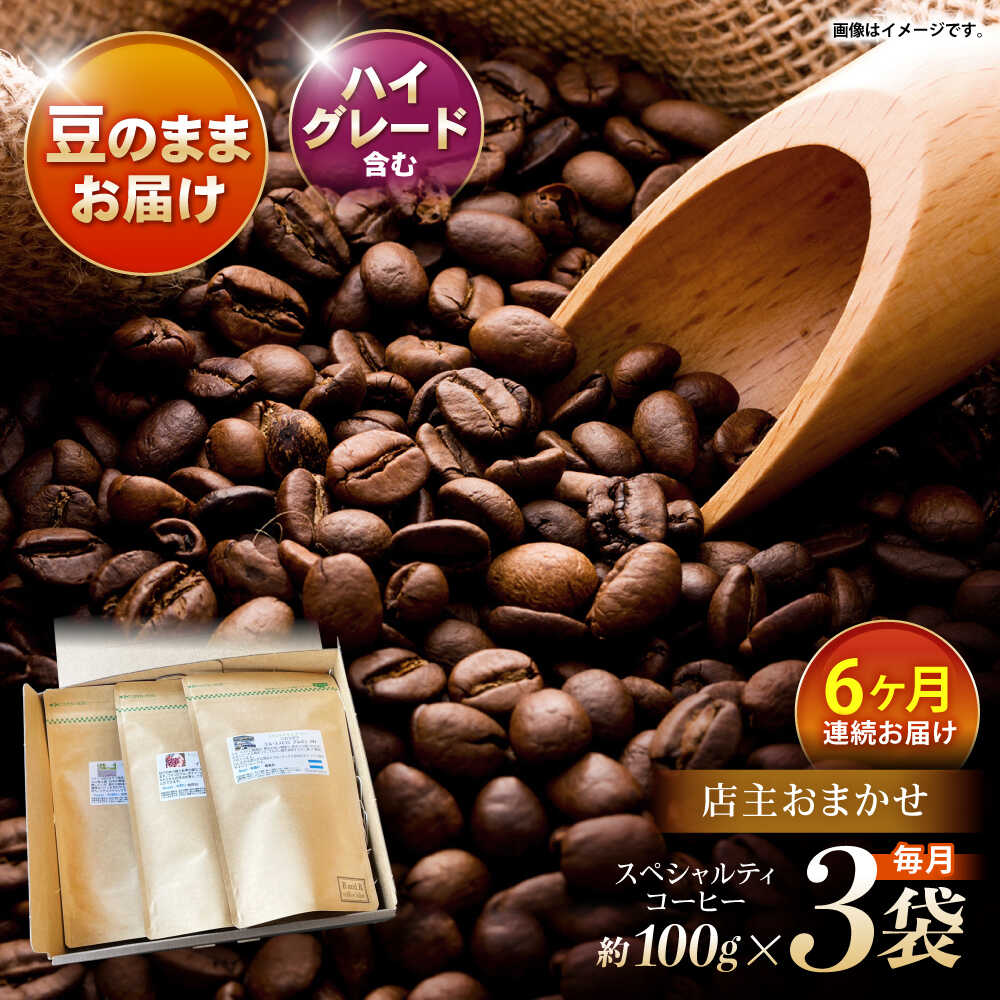 【ふるさと納税】【6回定期便】自家焙煎ハイグレードコーヒーを含むおまかせセット(豆のまま) / ハイグレードコーヒー ブレンド コーヒー 豆 / 諫早市 / R and R coffee labo [AHCJ042]