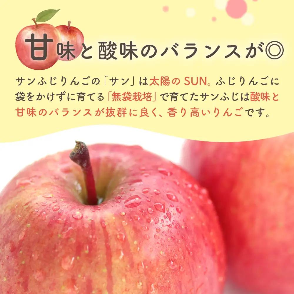 【2027年1月中旬発送】【訳あり】 りんご 約5kg 青森県産 サンふじ 家庭用 りんご