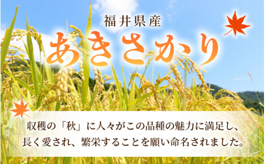 令和7年産 あきさかり 10kg 福井県産 コシヒカリ系統品種【白米】【お米 アキサカリ 10キロ】 [e30-b019]