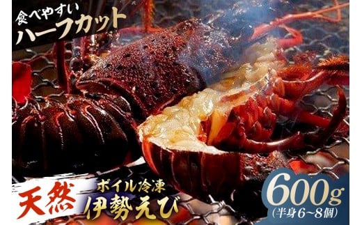 【天然】ボイル冷凍伊勢海老 ハーフカット600g（半身6～8個） mi0020-0013 【伊勢海老 ボイル ハーフカット 魚介 バーベキュー 海の幸 海鮮】