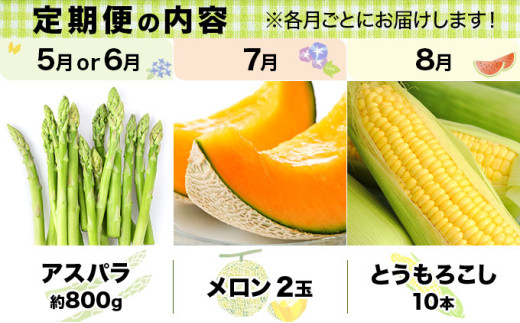 ＜先行予約＞いわみざわの新鮮農産物セット(5or6月～11月 全6回)※定期便【11106】