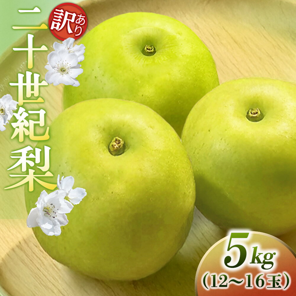 【ふるさと納税】 二十世紀梨【訳あり】5kg（中村農園） 鳥取 梨 果物 フルーツ 和梨 二十世紀梨 20世紀梨 人気 甘い 自家用