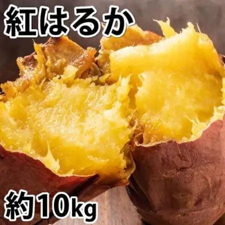 紅はるか 秀品(約10kg)(益城町)【1586864】