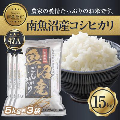 ふるさと納税 南魚沼市 【無洗米】南魚沼産 コシヒカリ 5kg×3 計 15kg(お米の美味しい炊き方ガイド付き)