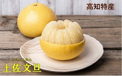 土佐文旦 10kg 3L?4L ご家庭用 文旦 ぶんたん 柑橘 フルーツ 果物 サイズ混合 大玉 文旦10kg 高知 黒潮町 産地直送 旬 期間限定 季節限定 文旦セット 柑橘類  人気 家庭用文旦 食べ応え 12?16個 楽木工房 文旦ギフト 高知 土佐 黒潮町［1406-2］