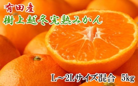 【濃厚・まろやか】有田産樹上越冬完熟みかん5kg（L～2Lサイズ混合・秀品） 【tec874A】