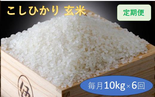 
定期便 6回 こだわり コシヒカリ 玄米 10kg / お米
