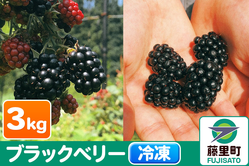 
ブラックベリー（冷凍）3kg フルーツ 果物 【8月より発送開始】
