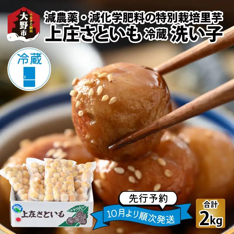 【先行予約】上庄さといも 洗い子 2kg（500g × 4袋）【冷蔵】【10月中旬より順次発送】減農薬・減化学肥料の特別栽培里芋 農家直送 煮物に便利な小さめサイズ