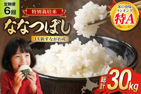 6回 定期便 JA新すながわ産 特栽米ななつぼし 5kg×6回 総計30kg [ホクレン商事 北海道 砂川市 12260796] 