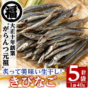 【ふるさと納税】鹿児島県阿久根市産生干し「きびなご」(計5袋・1袋40g)国産 魚介 干物 ひもの キビナゴ がらんつ干物【マルフク川畑水産】a-12-150