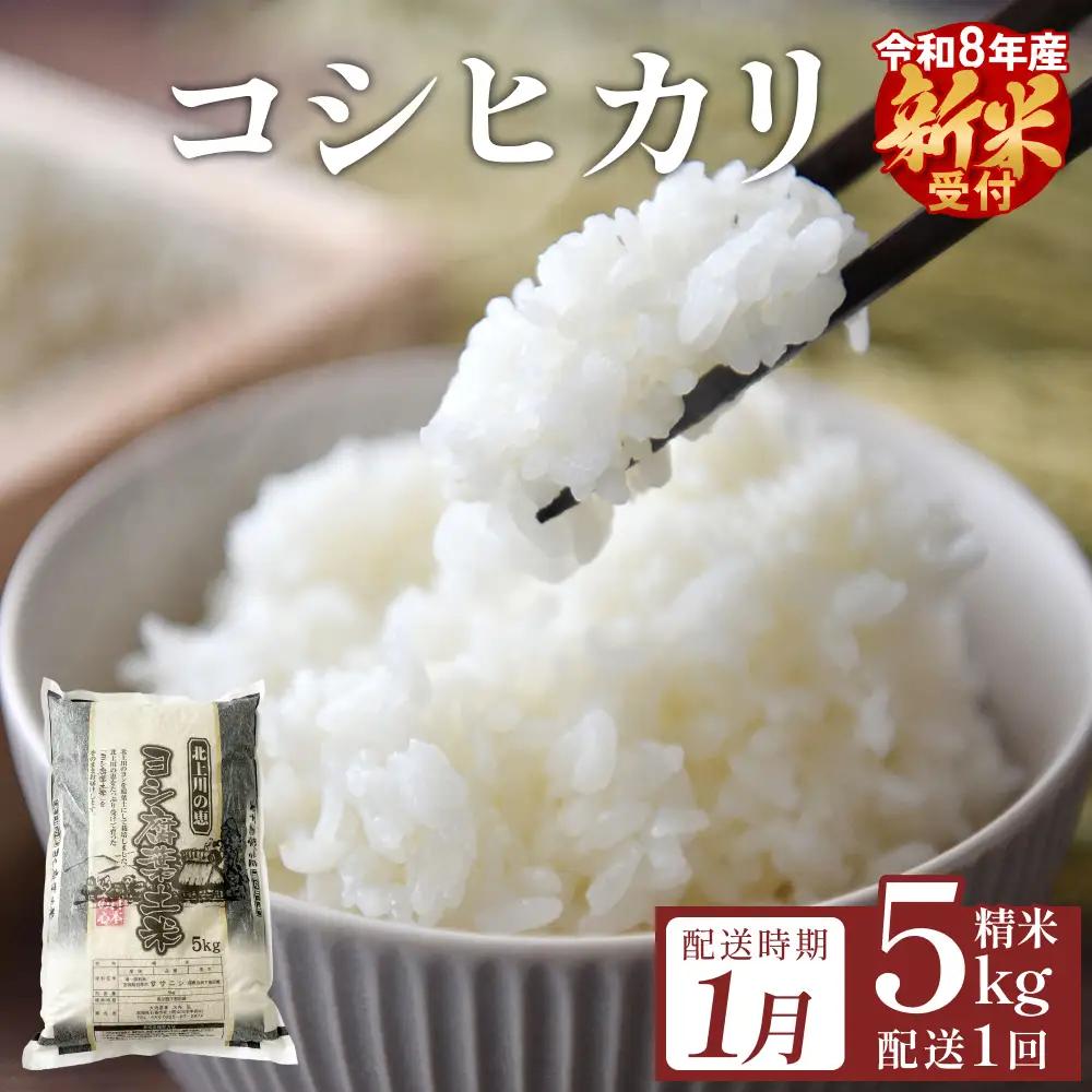 【1月配送】 ＜先行予約＞ 米 令和8年産 コシヒカリ 精米 5kg 単品 新米 こめ コメ お米 ご飯 白米 こしひかり