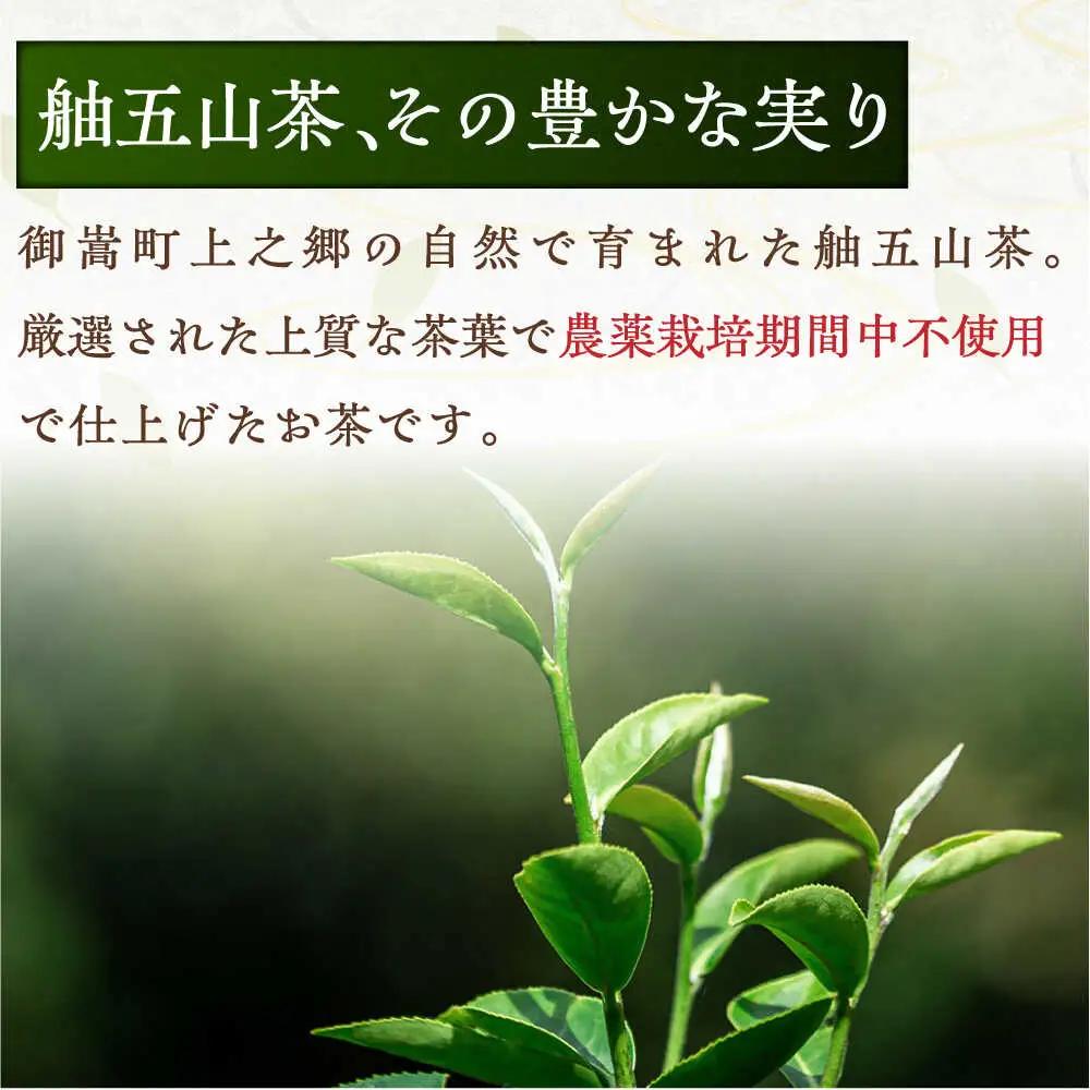 舳五山茶　特撰茶・一番茶セット 計750g / 茶 ちゃ お茶 おちゃ 緑茶 りょくちゃ 日本茶 茶葉 / 御嵩町 / 舳五山茶園委員会[AVAD002]
