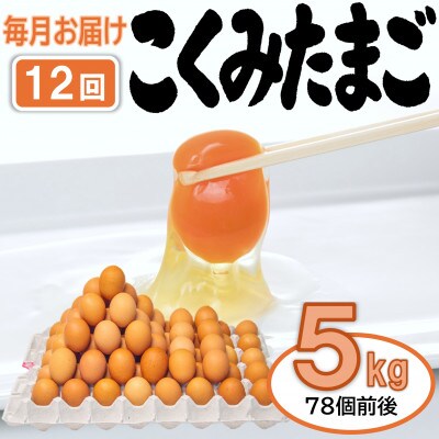 【毎月定期便】こくみたまご 5kg入 (78個前後) 全12回【4084385】