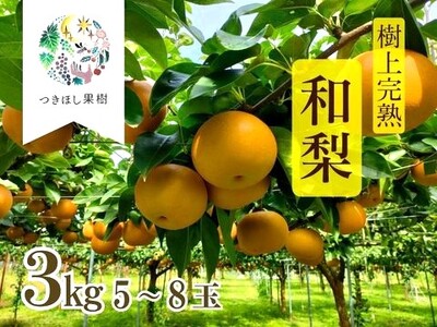 山形県産【樹上完熟】和梨（あきづき）３ｋｇ　ご家庭用　0140-2605