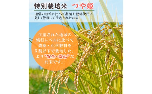 令和8年産 山形産 特別栽培米 つや姫 10kg (5kg×2) FY26-026