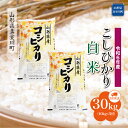 【ふるさと納税】令和6年産 真室川町 コシヒカリ ［白米］ 30kg 定期便（10kg×3回お届け）