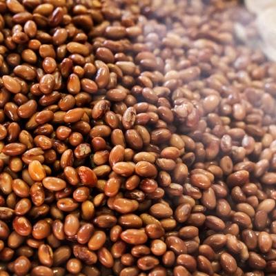 ふるさと納税 飯塚市 天然醸造醤油 生揚げ醤油とぽん酢　300ml2本セット |  | 02