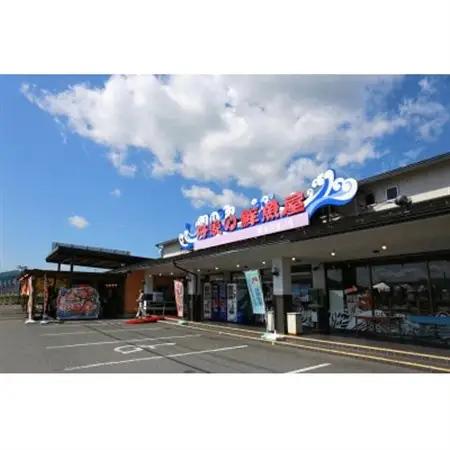 海の京都 橋立やまいちの干物セット 贈答用 D[ 一夜干し 桜干し ギフト ]_魚介・海産物     魚介・海産物  干物 _【配送不可地域：離島】【1583726】