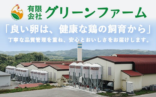 定期便 2回配送 新鮮 たまご 80個×2回 合計160個 | 自然豊かな庄原で生まれた 新鮮たまご 広島県 庄原市 卵 たまご 玉子 タマゴ 鶏卵 生卵 ワケアリ 訳アリ MSサイズ～2Lサイズ サイズ混合 サイズ指定不可