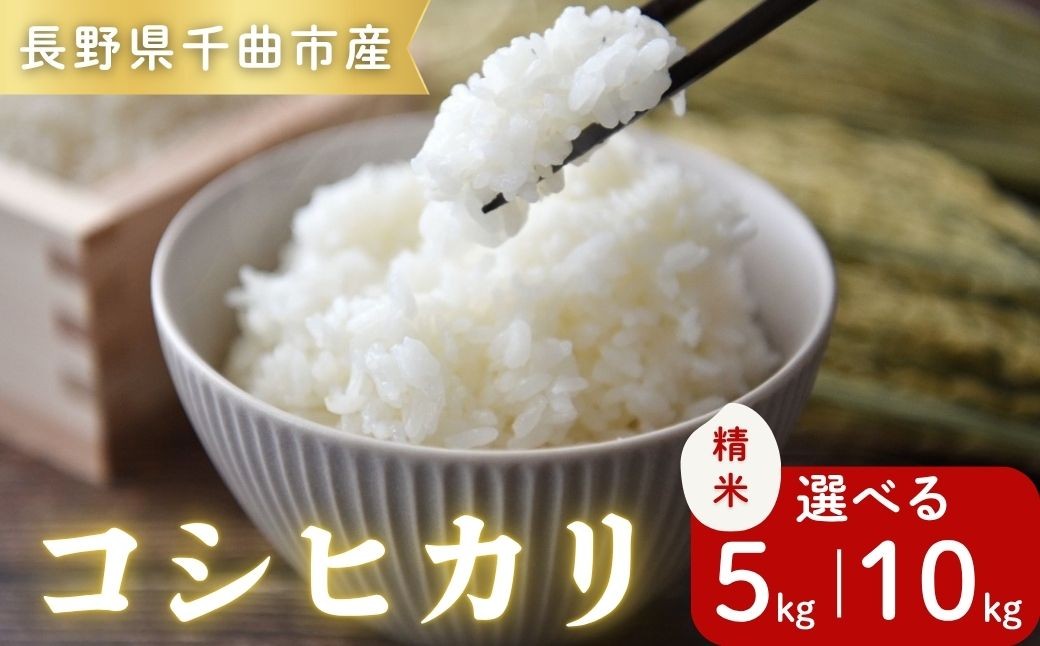 
                  令和8年産コシヒカリ精米5kg / 10kg｜ コシヒカリ ご飯 米 白米 千曲市 長野県 信州
                