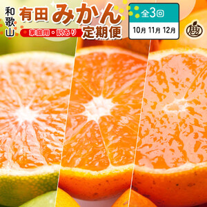家庭用 柑橘定期便SS（10～12月）全3回【みかん定期便お試し版】 ［IKE299］