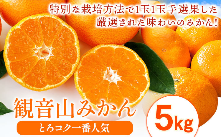 
            みかん 先行予約 観音山みかん(とろコク一番人気) 5kg 有限会社柑香園《2025年11月中旬-1月下旬頃出荷》和歌山県 紀の川市 フルーツ 果物 柑橘 みかん
          