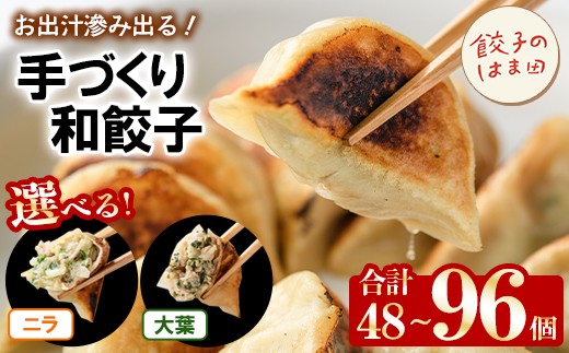 
                  ＼テレビで紹介されました！／＜種類・内容量が選べる！＞手づくり和餃子(ニラ餃子/大葉餃子・合計48～96個) 餃子 生餃子 ギョウザ ぎょうざ ギョーザ セット 詰め合わせ おかず お惣菜 冷凍 和風 水餃子 にら ニラ 大葉 手作り 食べ比べ【餃子のはま田】
                