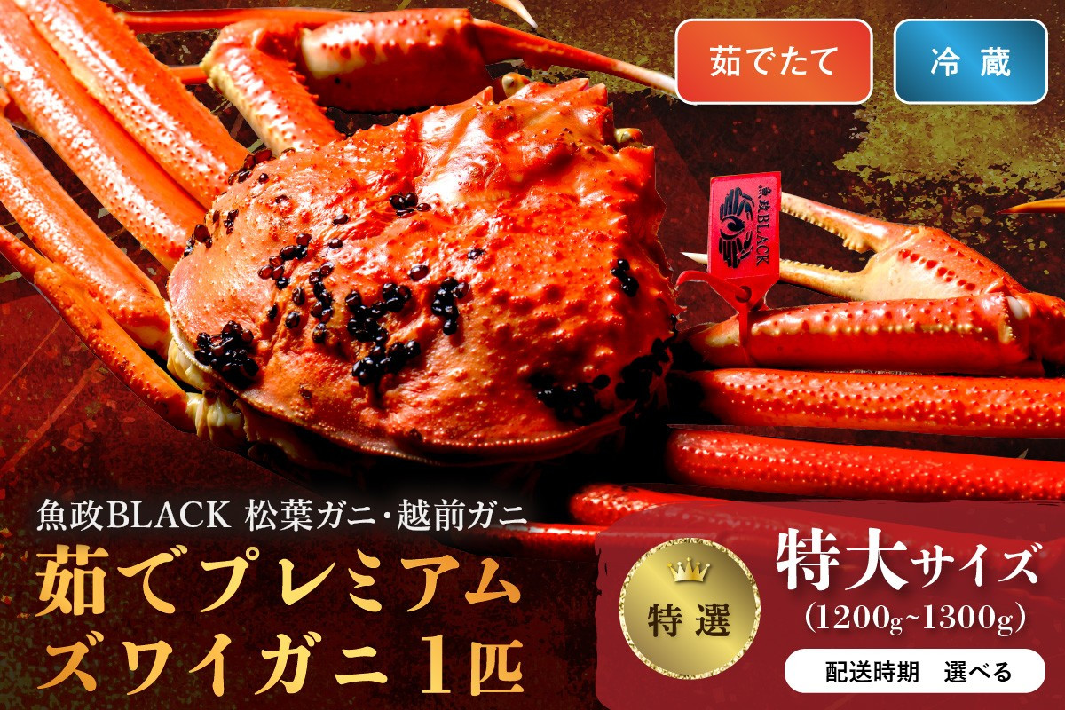 
            【蟹の匠 魚政】茹で　プレミアムズワイガニ 魚政BLACK（松葉ガニ・越前ガニ）特撰 特大サイズ（1200～1300g） 1匹　松葉蟹 蟹 かに カニ ガニ がに ボイル まるごと 海産物 海鮮 魚介 魚介類 甲殻類 海の幸 小 京都 京丹後 京丹後市 ふるさと納税 蟹 送料無料　UO01300・UO01301
          