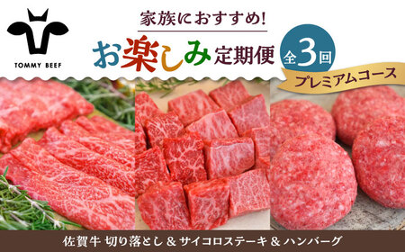 【3回定期便】佐賀牛 家族向け お楽しみ 定期便 /牛肉 お肉 肉 ハンバーグ 切り落とし ステーキ  [IAH218]