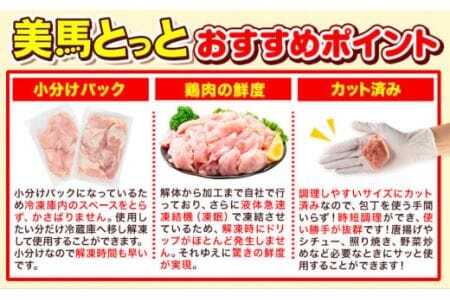 美馬とっと ももむね肉 鶏ハラミ 塩だれ味 2.4kg