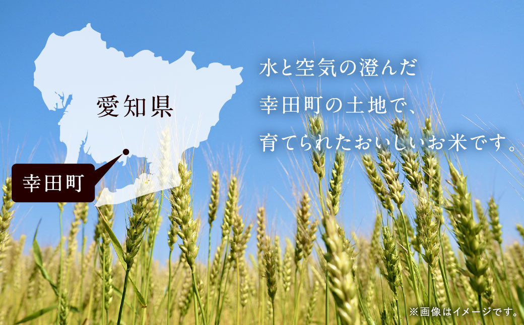 【6カ月定期便】幸せな田んぼのある町のお米｢幸田町｣産 あいちのかおり 白米 5kg