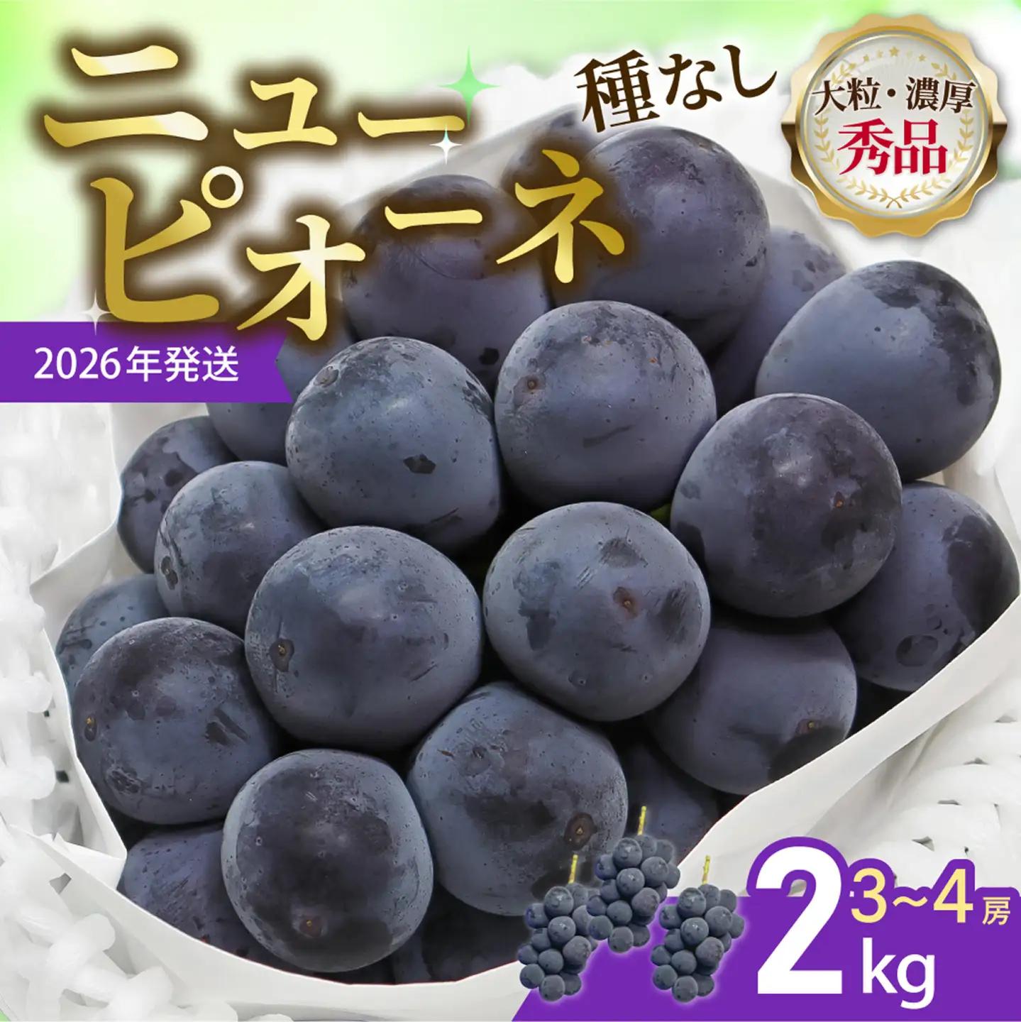 【令和８年発送分】岡山県産 ニューピオーネ 2kg（令和8年8月から9月頃発送）【ニューピオーネ】