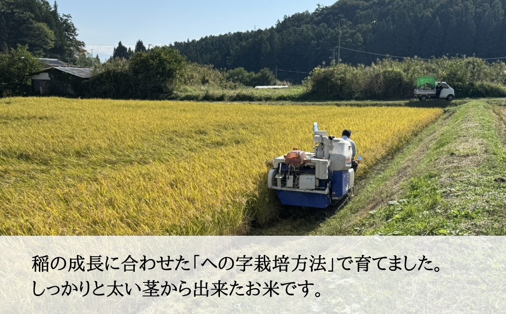 【2026年先行予約】信州大田原産 新米 あきたこまち玄米 5kg~10kg | あきたこまち 玄米 お米 5キロ 10キロ