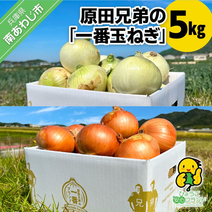 【ふるさと納税】【原田青果】原田兄弟の一番玉ねぎ 5kg ふるさと納税 おすすめ