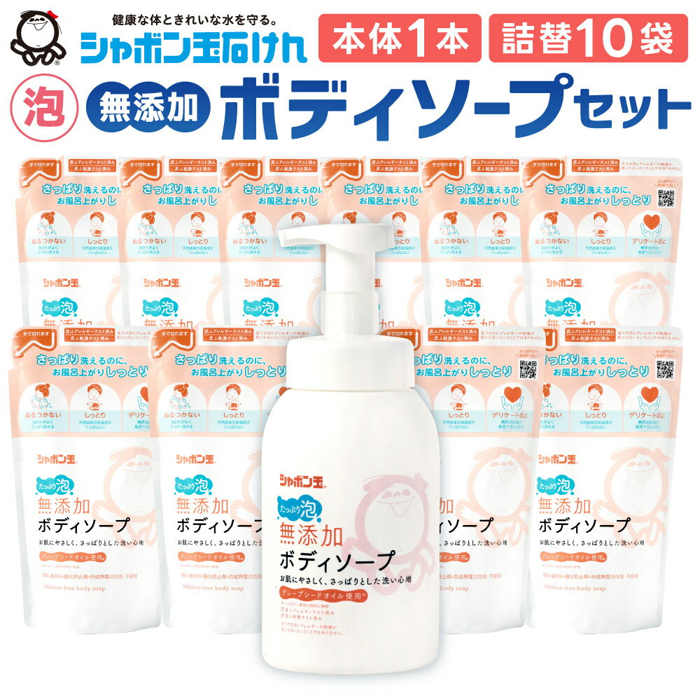 【ふるさと納税】無添加 ボディソープ たっぷり泡セット 本体1本(570mL) つめかえ10袋(470mL) セット ボトル 詰替 詰め替え 清潔 洗浄 無添加石けん 潤い お風呂 清潔 ポンプ 泡タイプ シャボン玉石けん