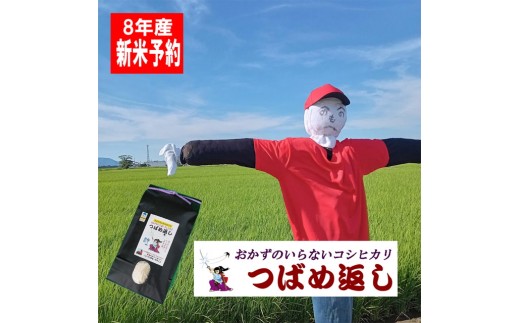 【令和8年産米予約受付中】おかずのいらないコシヒカリ「つばめ返し5kg」白米3か月定期便(月イチで計3回) FC045009