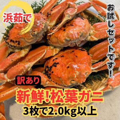 ふるさと納税 智頭町 【さかなや新鮮組】鳥取県産 訳あり 浜茹で 松葉ガニ2.0kgセット ご家庭用 漁港直送