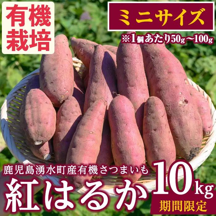 さつまいも 紅はるか 10kg サツマイモ ミニサイズ 有機【そのやま農園】_y329-B